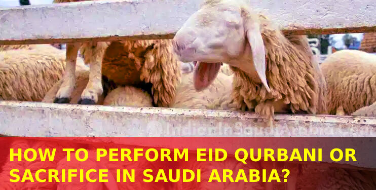 procedure to perform eid Qurbani